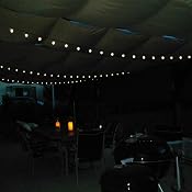 Solar Lichterkette Mit Echten Muscheln – 5m, 30 LED, 8 Modi, IP65 Wasserdicht Für Garten & Deko (Lila)