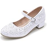 WIKENCY Girls Dress Shoes Mary Jane Low Heel Princess Flower Wedding Flats Glitter Shoes for Toddler/Little Kid/Big Kids