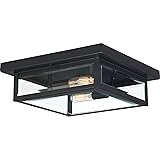 Quoizel WVR1612EK Westover Modern Industrial Clear