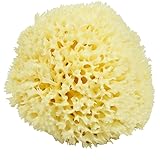 Neptune Natural Sea Wool Sponge - All Natural Honeycomb Renewable Sea Sponge, Large, Approx. 5 Inches