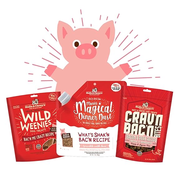STELLA & CHEWY’S TRAINING DOG TREATS – CRAV’N BAC’N SOFT BACON & PORK BITES – PREMIUM USA MADE – LOW CALORIE REWARDS – 8.25OZ