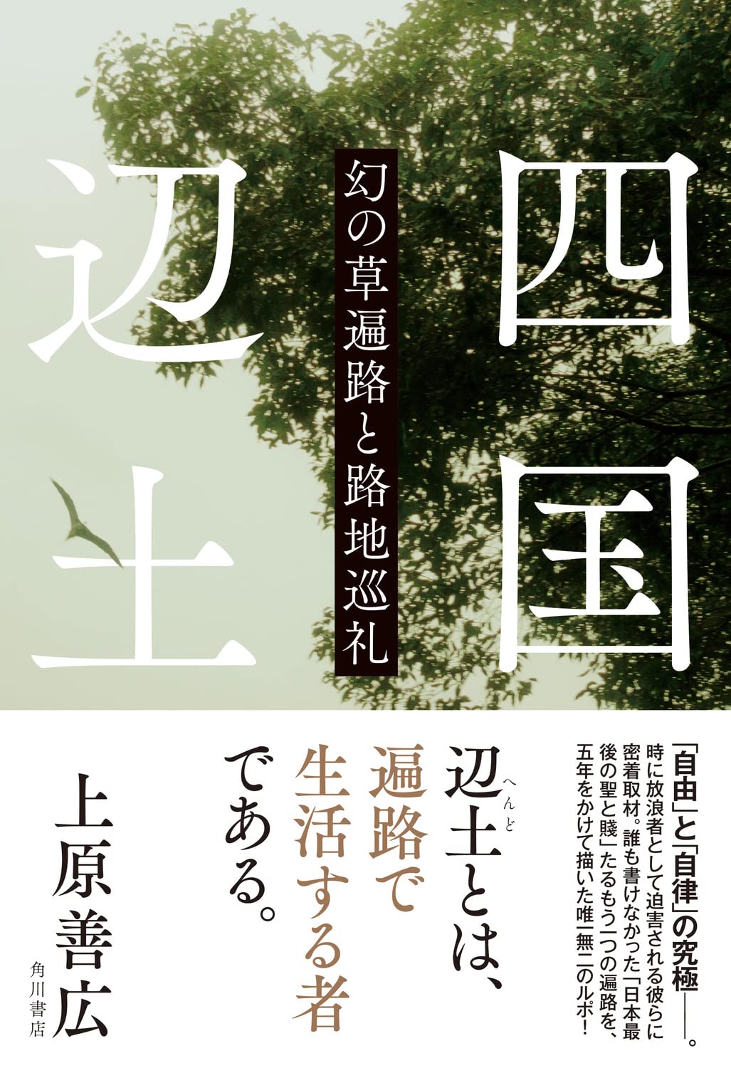 四国辺土 幻の草遍路と路地巡礼 (角川書店単行本) 四国辺土 幻の草遍路と路地巡礼 (角川書店単行本)