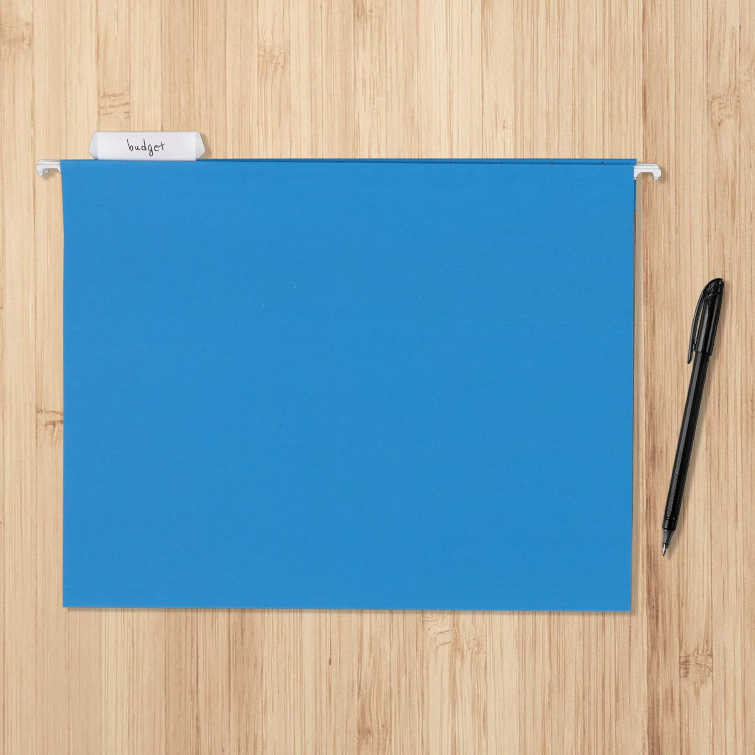 Basics Hanging Folders, Letter Size, Blue, 25 per Box : Office Products