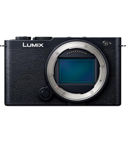 Amazon.com : Pansonic LUMIX S9 Full Frame Camera with 28-200mm L