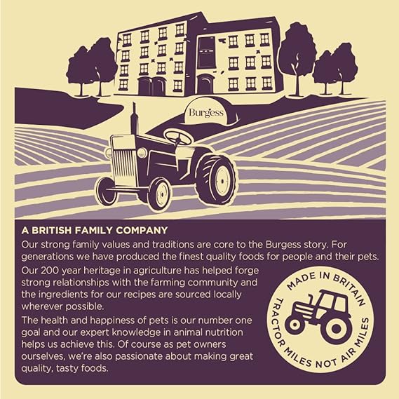 burgess salmon and rice