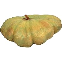 Amazon.com: Hickory Manor House Flat Jarrahdale Pumpkin for Home Decor ...