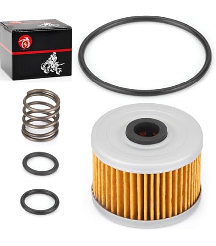 Filtro Olio Road Passion Per Honda ATC250 SX, ATC350 X E SXS500 M2 PIONEER – Ricambio Moto/quad