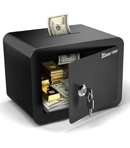 Coffre-fort Portable SentrySafe P005C - Petite Boîte De Verrouillage Noire, Mécanique, Neuve Scellée