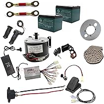 Amazon.com : YC Yier MY1020 500W 24V Electric Motor