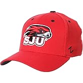 ZHATS NCAA Mens Stretch Fitted Hat Team Color