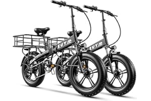 AULOOR Folding Electric Bike for Adults, 750W Motor(1000W Peak),30MPH, 60Mile,48V 12.8AH/15AH/20AH Battery,20" Fat Tire Foldable Electric Bicycle,Commuter Beach Snow E-Bikes,7-Speed…