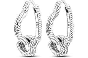 Parmuz 925 Sterling Silver Hoop Earring Simple Colorful Cubic Zirconia Tassel Chain U-Shaped Square Small Huggie Earrings Hypoallergenic Large Hoops Earring Jewelry Set for Women Teen Girls