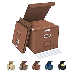 Oterri 2 Pack File Organizer Box,File Box,Small