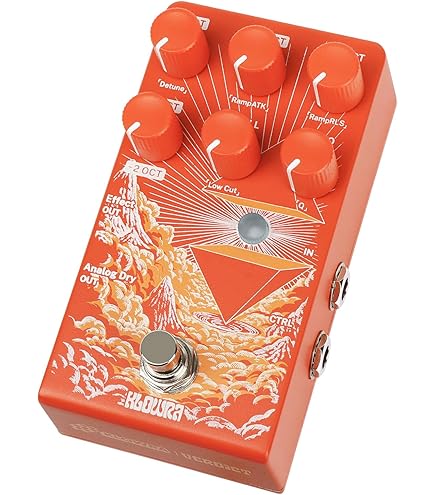Amazon.com: EarthQuaker Devices Sunn Life Pedal V3 : Musical