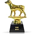 Vaulted Skulls & Co Top Dog Trophy | Dog Trophy Award | Gold Dog Competition Award | Sports Team Trophies | Funny Office Trophy | G.O.A.T Dog Trophy | Gold/Black | Small Trophy | 3”