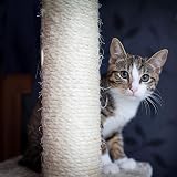 Unibos Cat Scratching Post Activity Centre Kitty Climbing Tree 40cm view 4