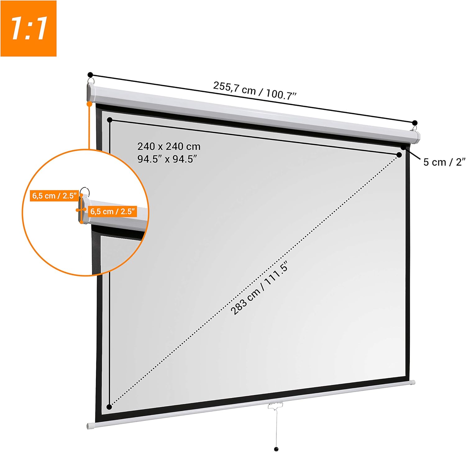 Celexon Basic Pantalla manual mural 240 x 240, formato 1:1: Amazon ...