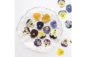 TOPFUNNY 54 Pcs Dried Pressed Flowers for Resin DIY Art Crafts Natural Dry Floral Epoxy Jewelry Real Flower Decor Cakes Phone Cases Candles Handmade Soap Purple Pansy