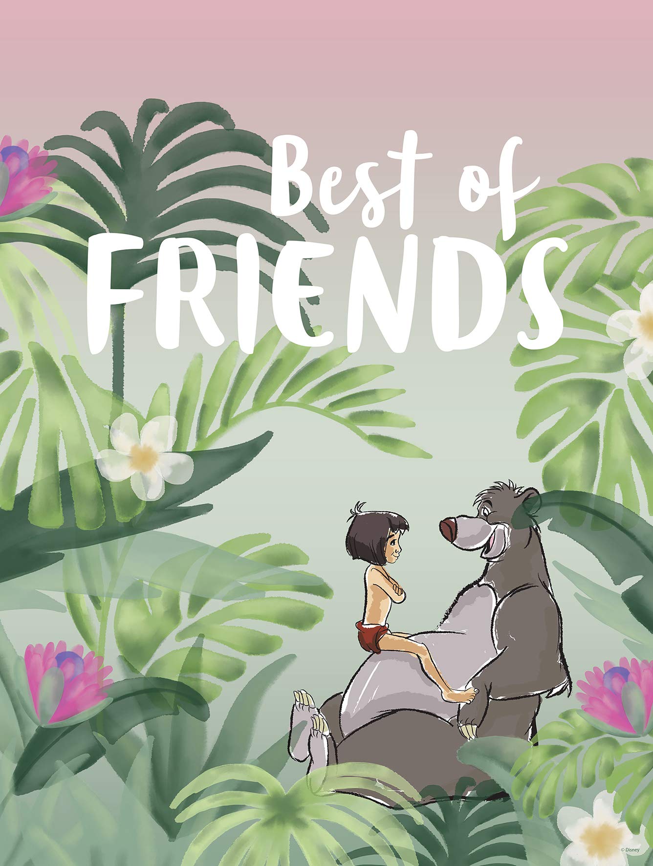 Komar Disney Wall Picture Jungle Book Best of Friends Children's Room Baby Room Decoration Art Print Without Frame Available in 3 Sizes, , Colourful, 30 x 40 cm
