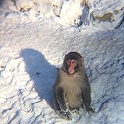 カスタマー画像