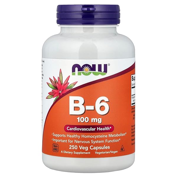 NOW FOODS B-6, 100 MG, 250 VEG CAPSULES