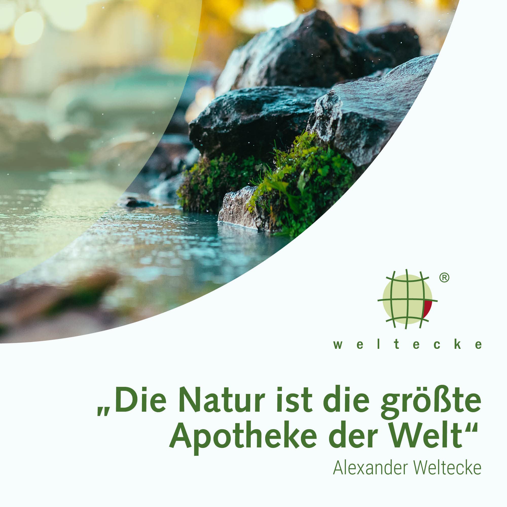 Weltecke Basisches Badesalz 2.800 g | Basen-Bad zur Entgiftung & Entsäuerung | Made in Germany | 100% vegane Haut-Pflege | Perfekt für ein Vollbad, Sitzbad, Fußbad oder Handbad | Wellness-Badesalz 7