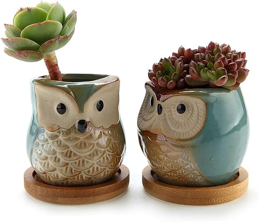 Owl Planter Pots Ceramic Succulent Mini Flower Pots Container Bonsai Planters Pots With Hole Flower Plant Pots Garden Planters Pots Home And Office Decoration Desktop Windowsill Gift Set Of 6 Gardening Kolenik Pots Planters