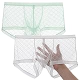 JINSHI Men's Mesh See Through Boxers Briefs,Sexy
