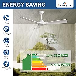 BvenuBigLite Ceiling Fan Without Light: 52 Inch