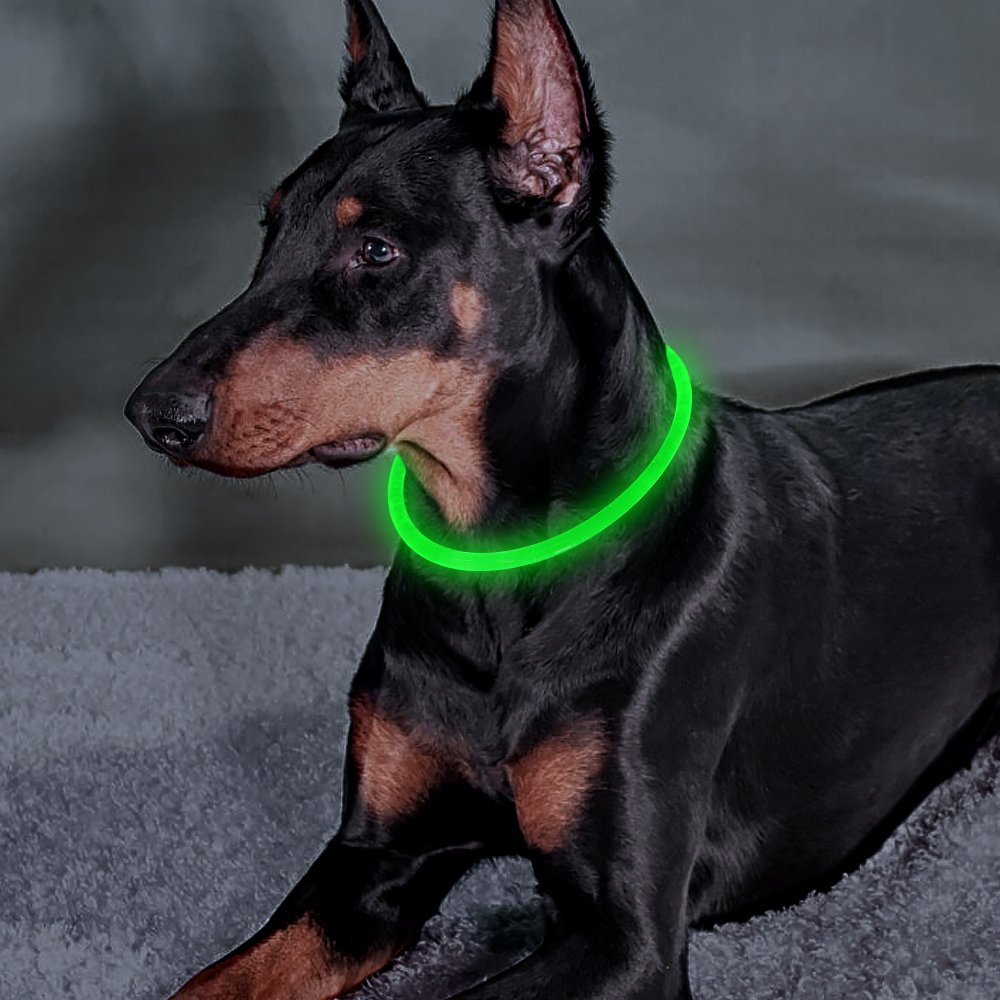 Illumifun Led Dog Collar, USB Rechargeable TPU Cuttable Light Up Collar Make Your Dogs Seen & Safe in the Dark (Neon Green)