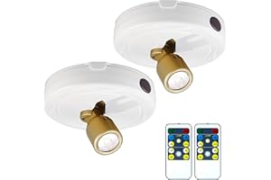 HEAGEERO Wireless Spot Lights,Remote Control Accent Lighting,Battery Picture Lights,Stick Puck Light,Rotatable Display Spotlights for Art Closet Wall(W+G)