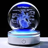 Enjinkail 3D Heart Model Crystal Ball Doctors Gift, Cardiologist Gift for Men and Women with Colorful LED Base, Medical Statue for Psychology Graduation, Christmas Heart Anatomy Art Decor