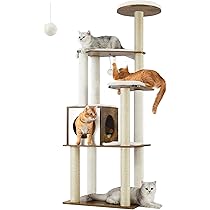 family cats　0118 Epoch Co. Sylvanian Families [ Ni-116 ] Striped cat Twins