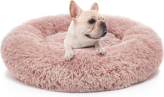 beds for dogs with anxiety