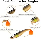 Truscend Shadtale Trembly Sinking Lure with BKK Hooks Multi-Pack view 3