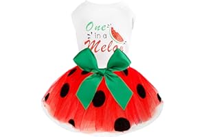 YIKEYO Dog Dress for Dog Spring Summer，Dog Dress for Small Dogs Girl，Dog Skirt Female Puppy Dresses Pet Dress Yorkie Chihuahua Tulle Dress Birthday Party Lace Costume Tutu Skirt Apparel