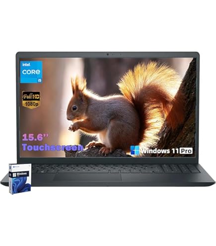 Amazon.com: Dell Inspiron 15.6