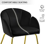 Yaheetech Velvet Tub Chair Vanity Chair with Golden Metal Legs Black view 7