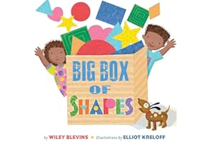 Big Box of Shapes (Basic Concepts)