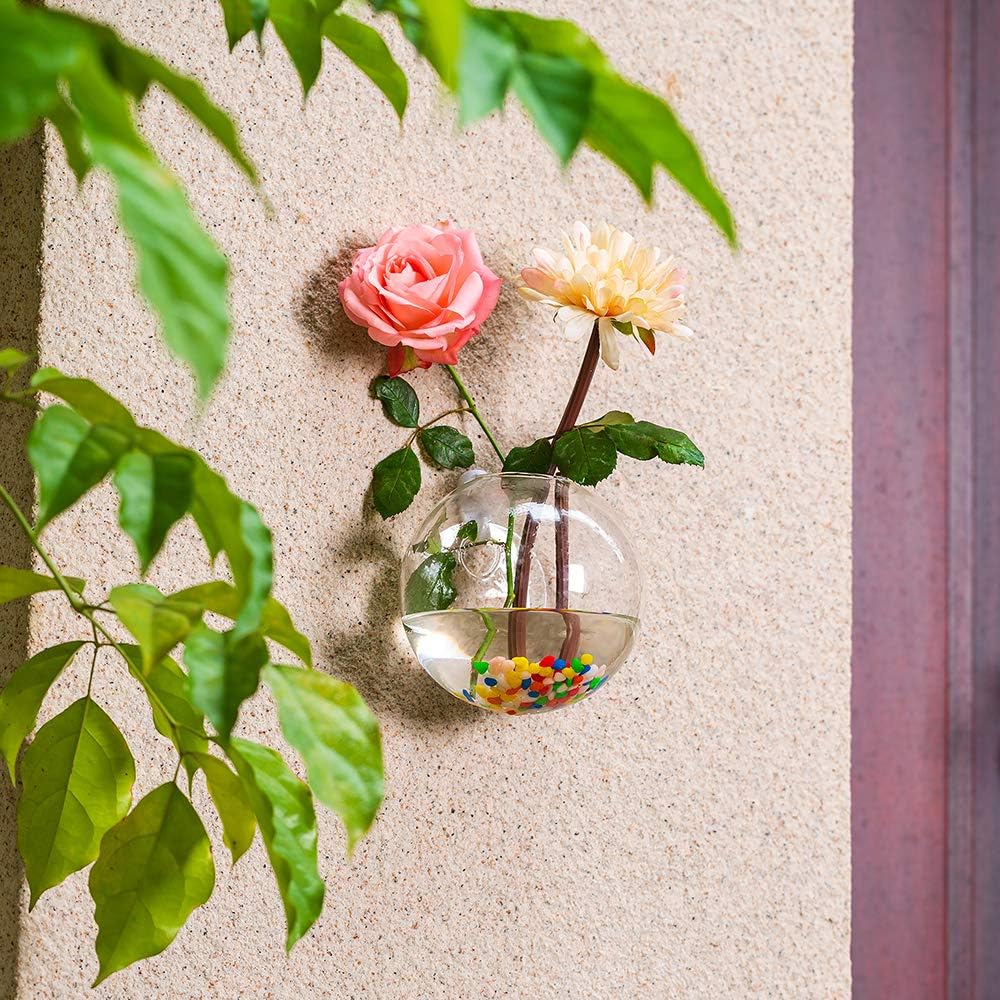 Glasseam Wall Hanging Glass Planters 6Pcs Spherical Shape Plant Pots Terrarium Container Vase with 6.36 OZ Colorful Stones Indoor Outdoor for Home Garden Office Wedding - Image 4