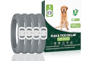 KYGNE Flea and Tick Prevention for Dogs, 4 Pack Flea Collar for Dogs, Dog Flea and Tick Treatment, 32 Months Protection, Waterproof, Adjustable Collar for Dog, One Size Fits All for All Breeds, Grey