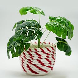 3 Strand Natural Twisted Cotton Rope
