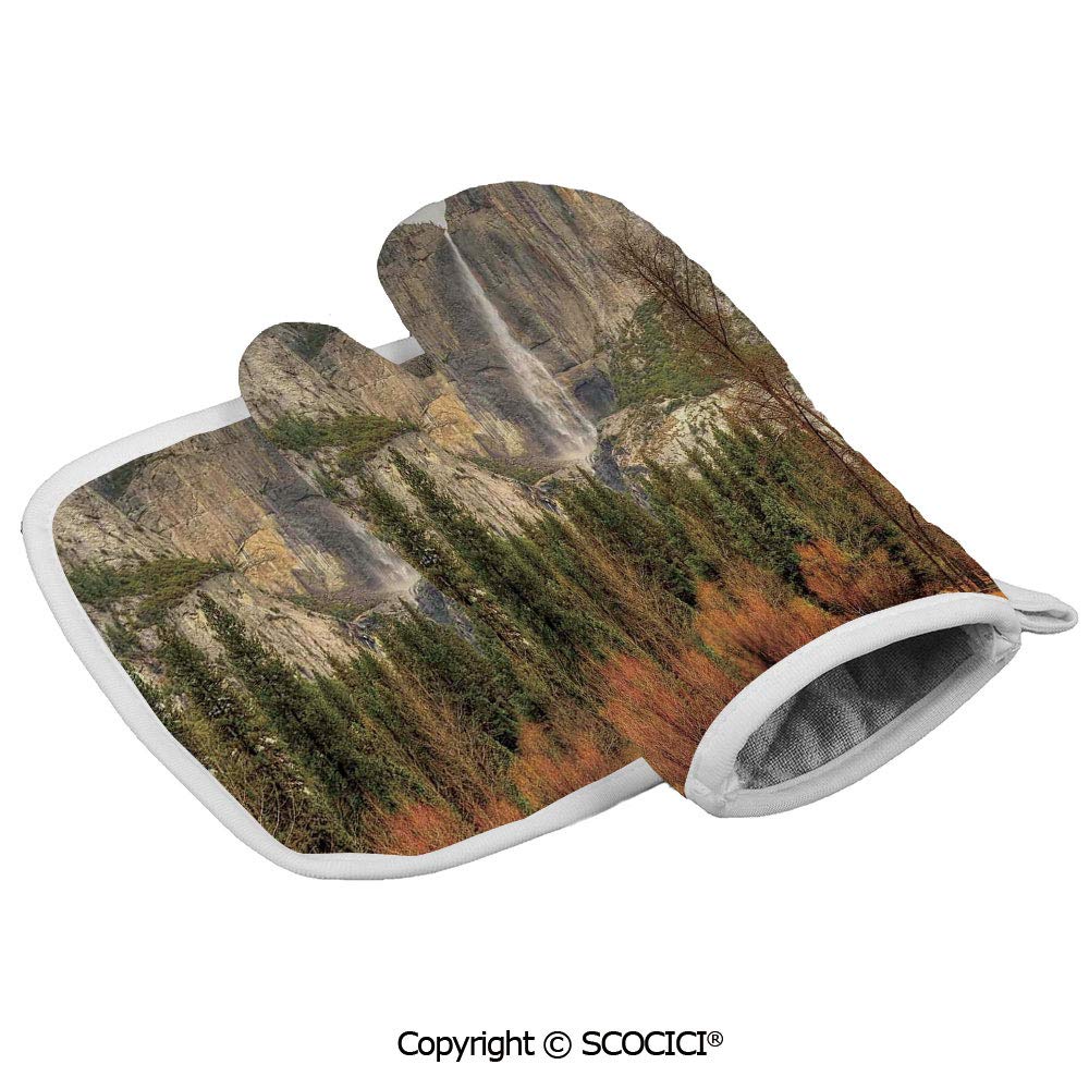 Which Is The Best Oven Mitt Yosemite