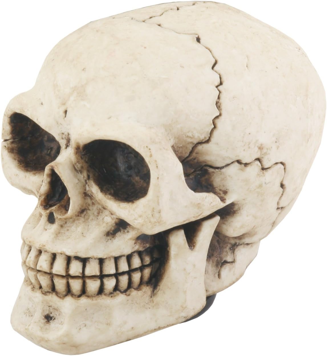 YTC Skull Shift Knob - Collectible Figurine Statue Sculpture Figure Model