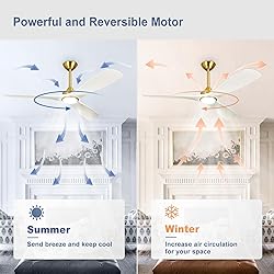BvenuBigLite Modern Ceiling Fan with Light: White