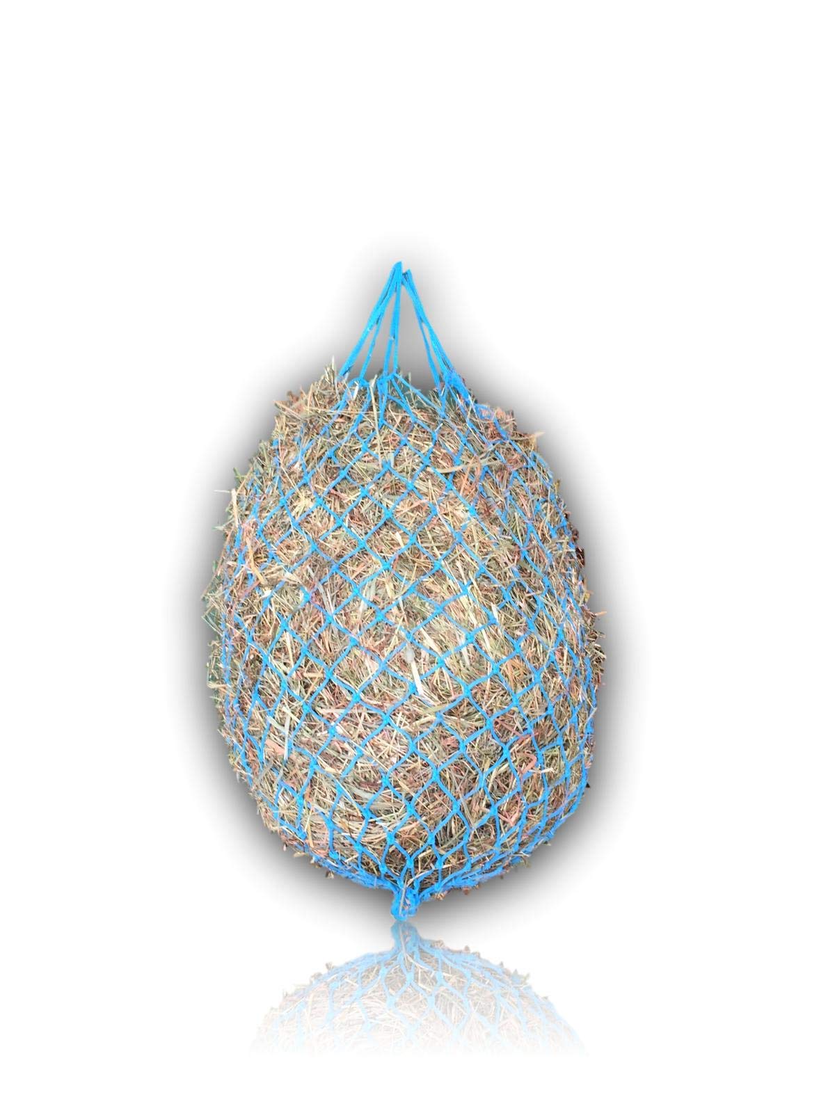 Extra Large Hay Net for Horses - 5 cm x 5 cm Mesh - Species-Appropriate Feeding Improved Digestion Hay Bag for Travelling Feeding Bag for Ponies Young Horses Old Horses Goats (Turquoise)