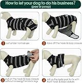 Kuoser Recovery Suit for Dogs After Surgery Black All Sizes view 4