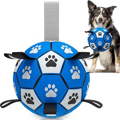 HETOO Interactive Dog Football Toy with Webbing 8 Inch Blue Gray