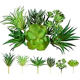Xyembu 6Pcs Green Succulent Plants Mini Green Succulent Plants Faux Artificial Succulents Plant for DIY Crafting Home Floral Wall Office Decoration (excluding pots)