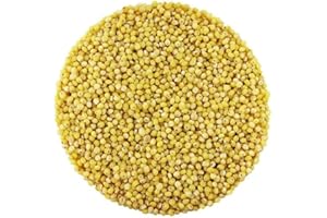 Organic Hulled Millet, Premium Quality Ancient Grain, High in Fiber and Protein, 10 kg Bulk Package